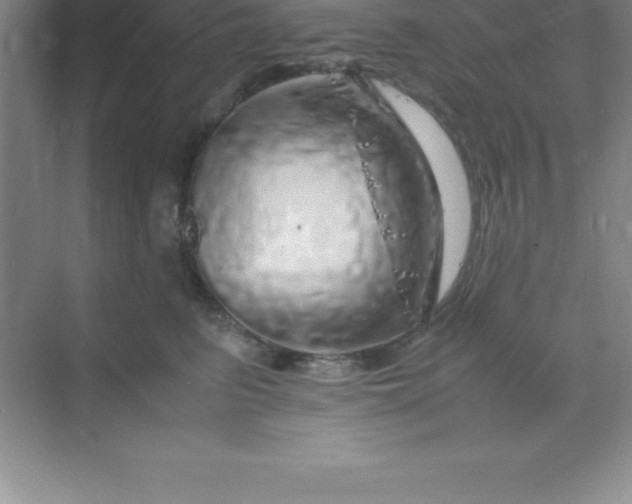 X0000070230615200606091719