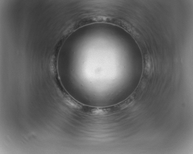 X0000070230616200606091719