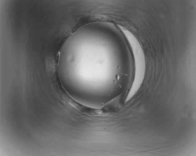 X0000070230617200606091719