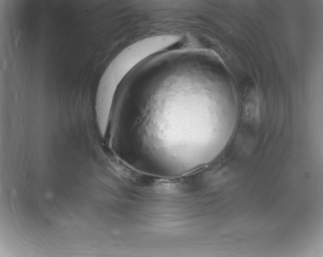 X0000070230620200606091719