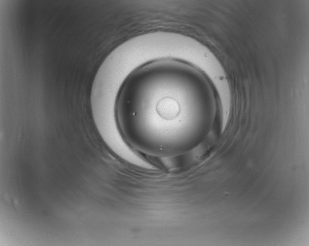 X0000070230621200606091719