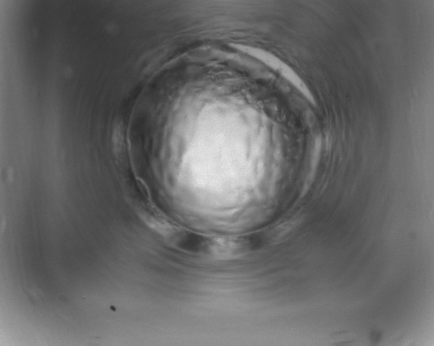 X0000070230623200606091718