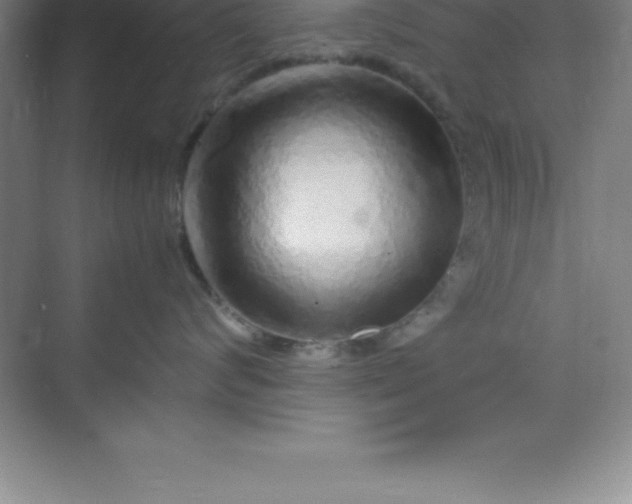 X0000070230624200606091718