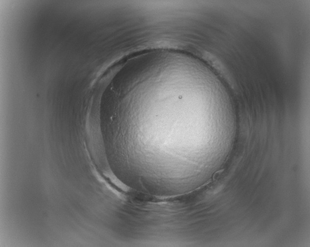 X0000070230625200606091718