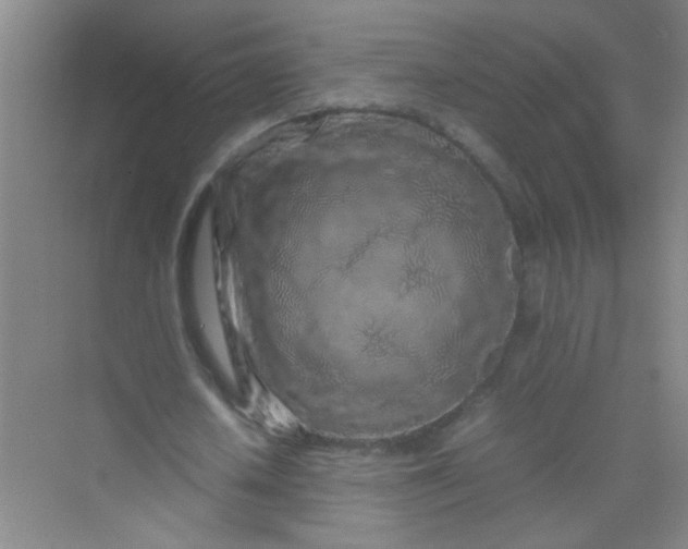 X0000070230626200606091718