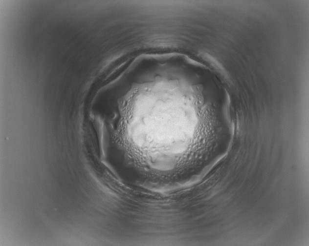 X0000070230627200606091718