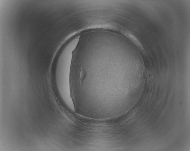 X0000070230628200606091718