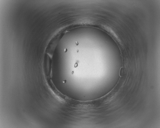 X0000070230629200606091718