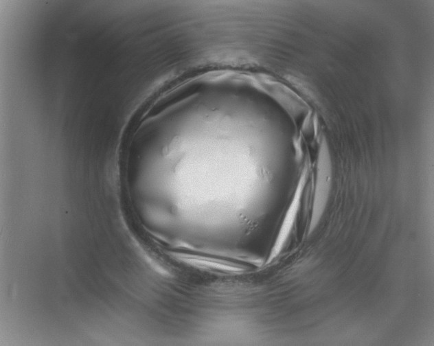 X0000070230630200606091718