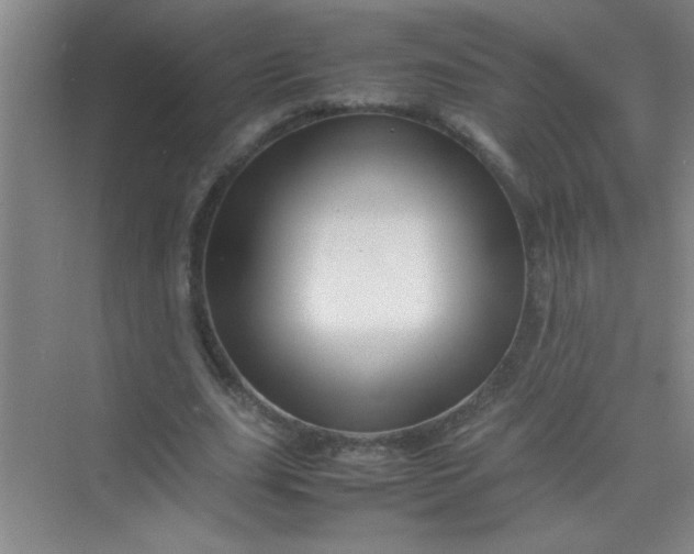 X0000070230631200606091718