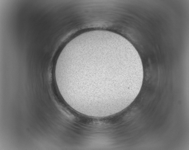 X0000070230632200606091718