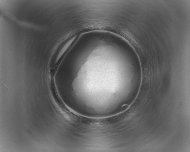 X0000070230634200606091718