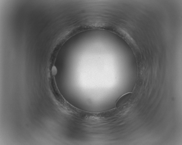 X0000070230635200606091718