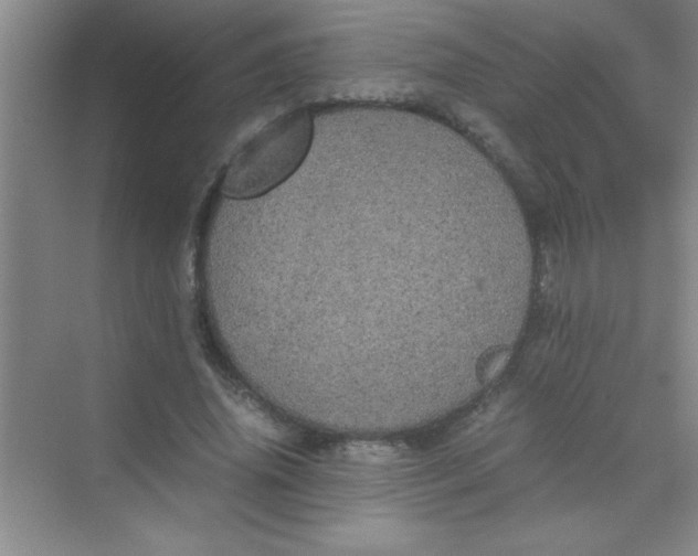 X0000070230636200606091718