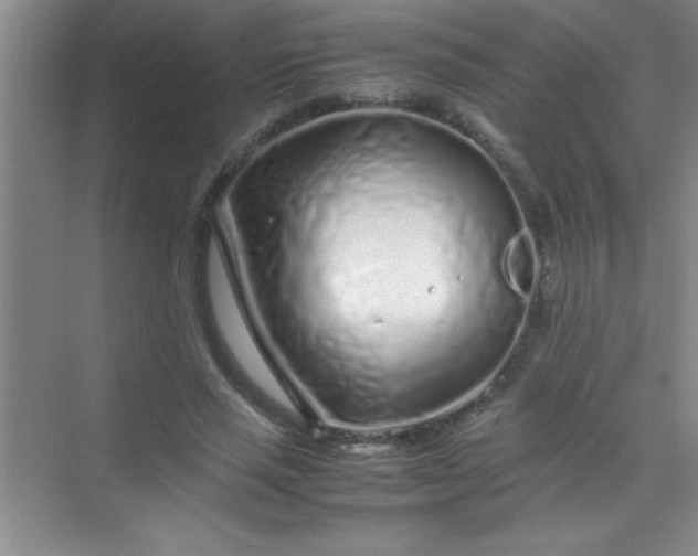 X0000070230637200606091718