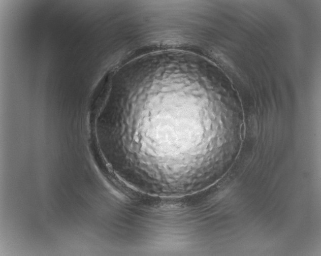 X0000070230638200606091718