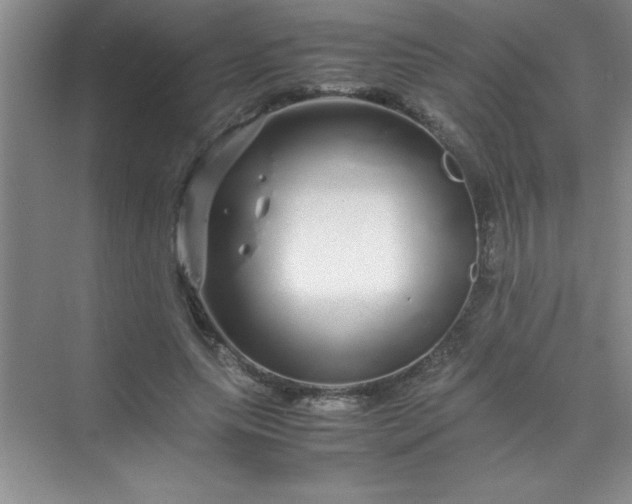 X0000070230639200606091718