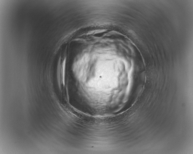 X0000070230640200606091718