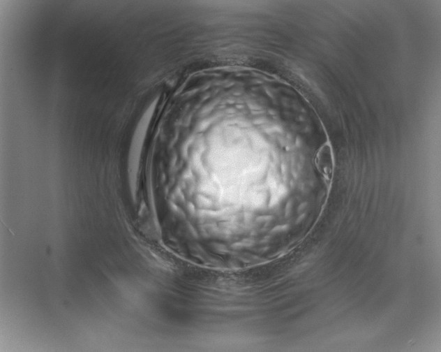 X0000070230641200606091718