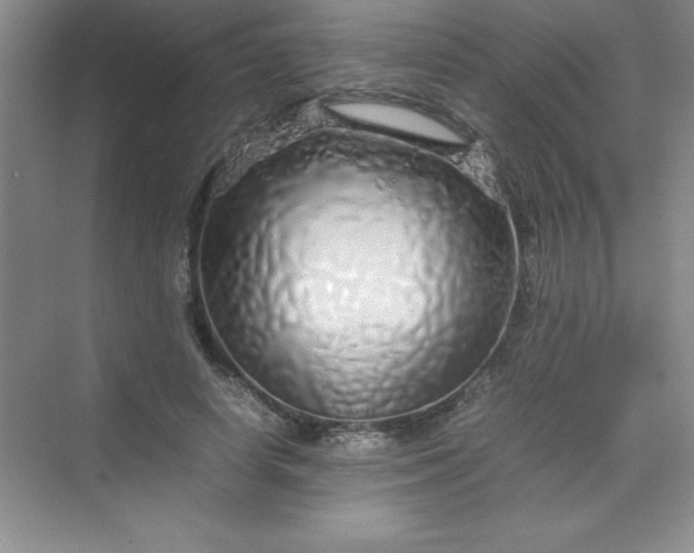 X0000070230642200606091718