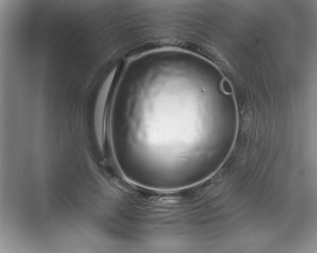 X0000070230643200606091718