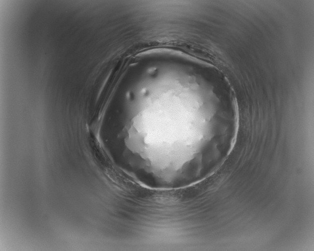 X0000070230644200606091718