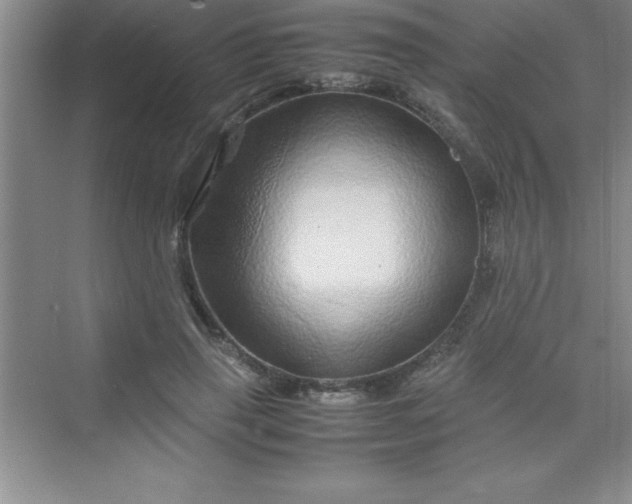 X0000070230645200606091718