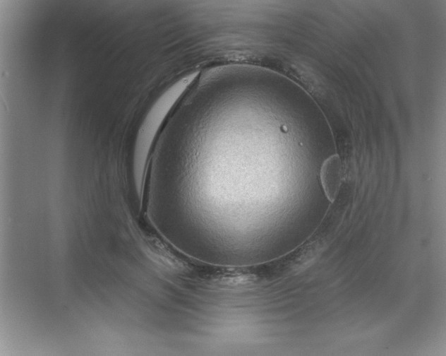 X0000070230646200606091718