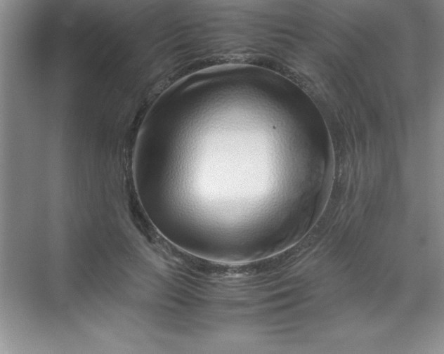 X0000070230647200606091718