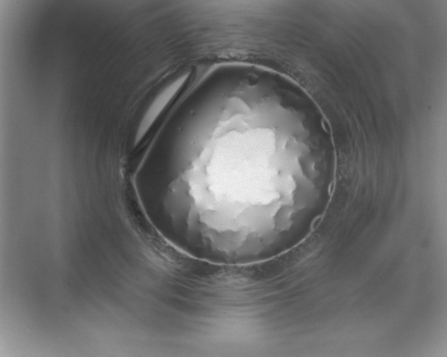 X0000070230648200606091718