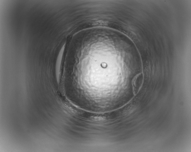 X0000070230649200606091718