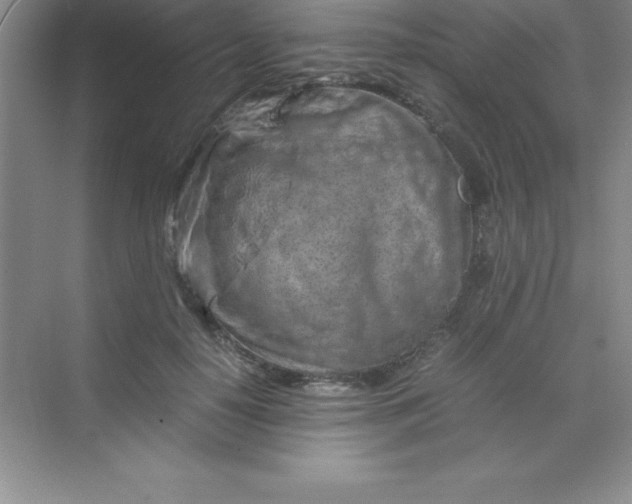 X0000070230650200606091718