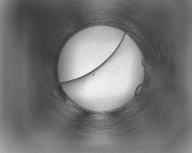 X0000070230652200606091718