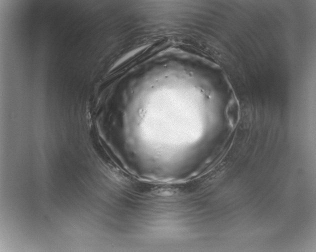 X0000070230654200606091718