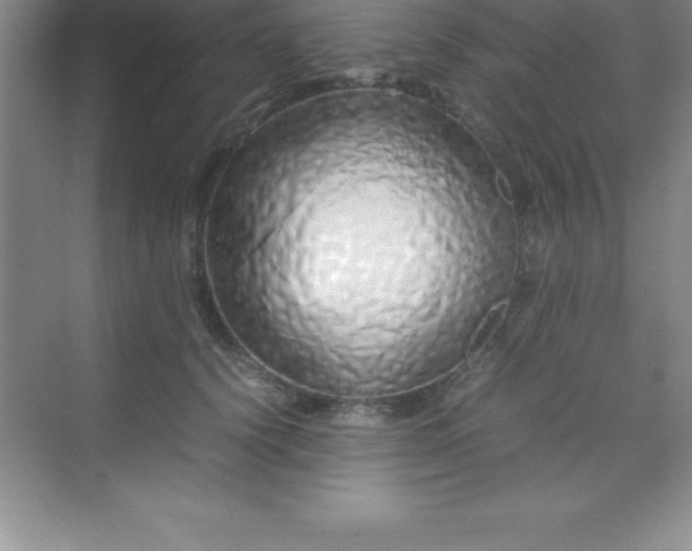 X0000070230656200606091718