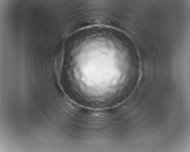 X0000070230657200606091718