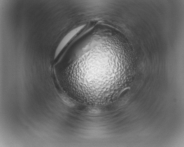 X0000070230658200606091718