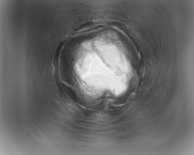 X0000070230659200606091718