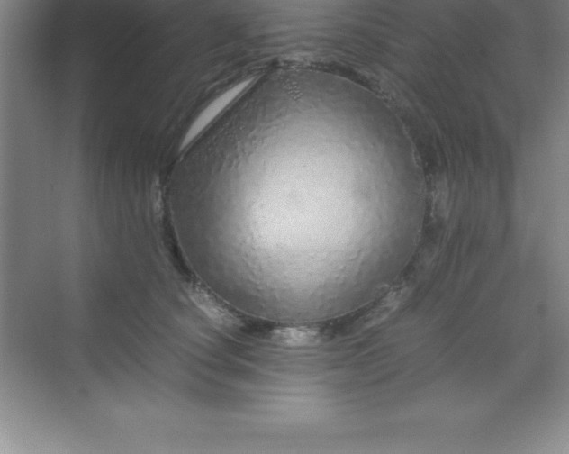 X0000070230660200606091718