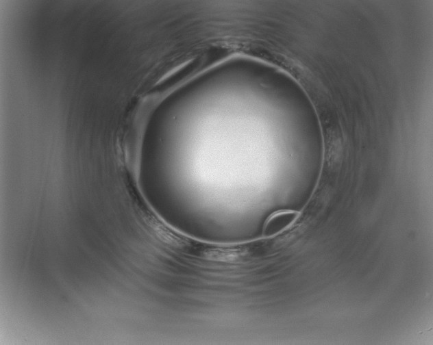 X0000070230661200606091718