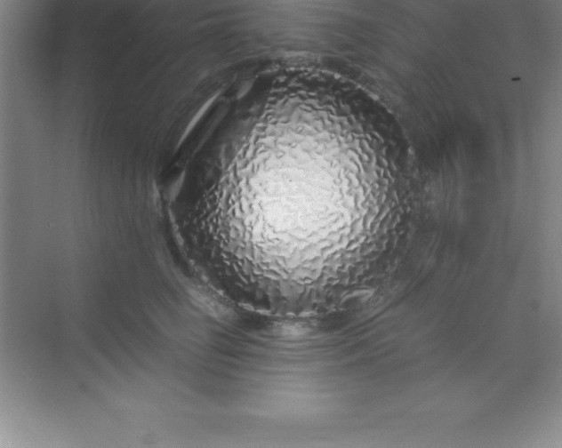 X0000070230662200606091718