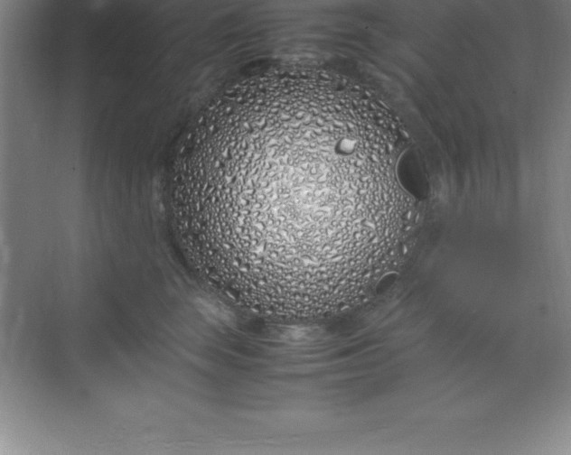 X0000070230663200606091718