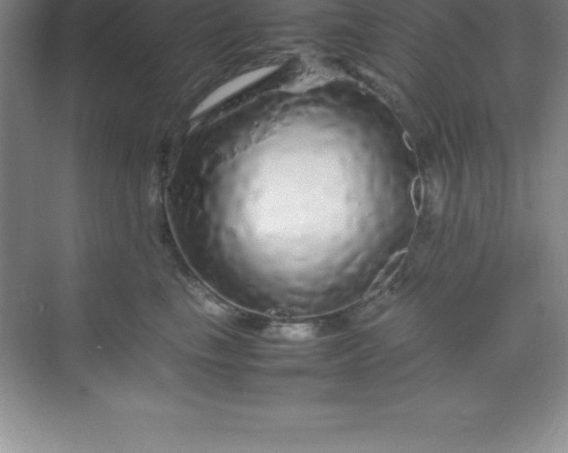 X0000070230665200606091718