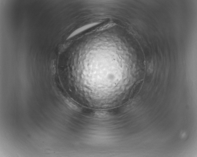 X0000070230666200606091718