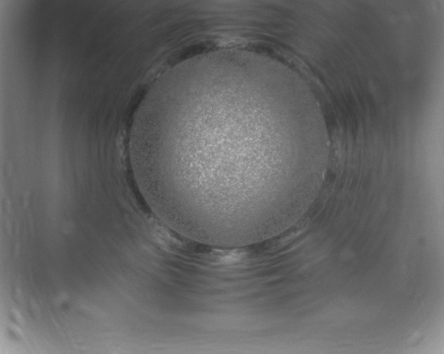 X0000070230667200606091718