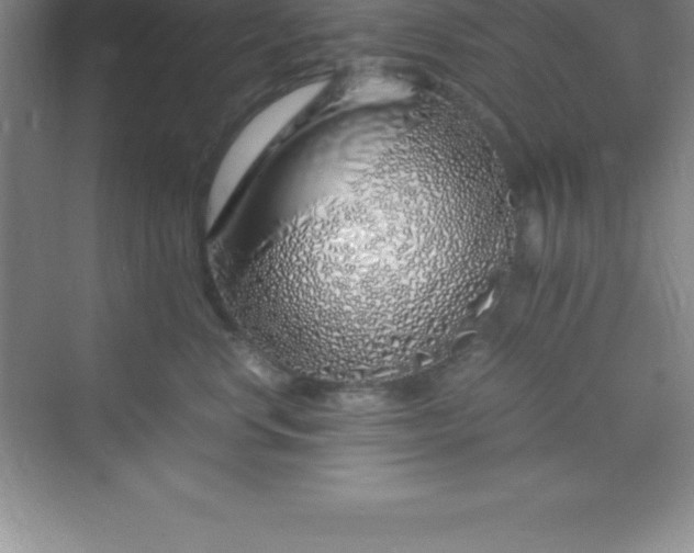 X0000070230668200606091718