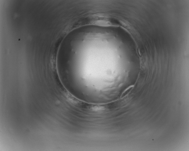 X0000070230669200606091718