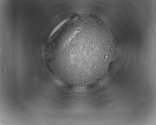 X0000070230671200606091718