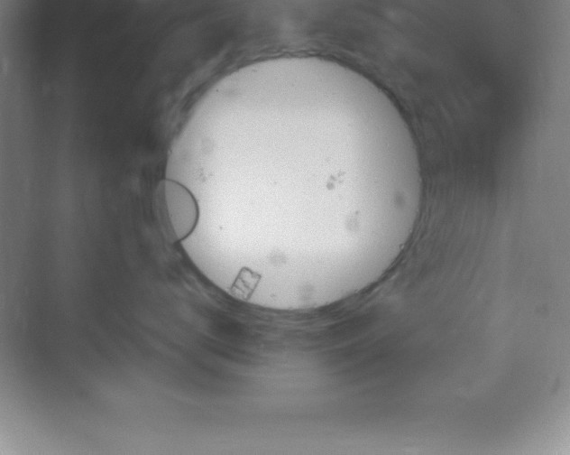 X0000070230672200606091718