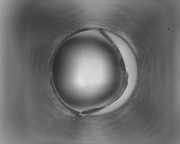 X0000070230673200606091718